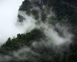 Ooty Image