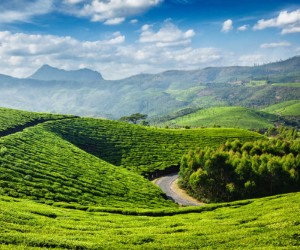 Munnar Image